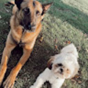 Meet your Posher, Gretchen